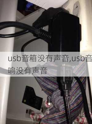 usb音箱没有声音,usb音响没有声音