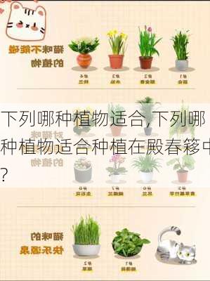 下列哪种植物适合,下列哪种植物适合种植在殿春簃中?