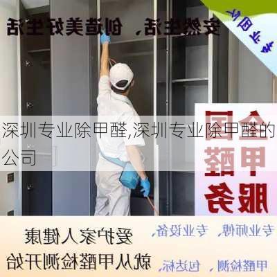 深圳专业除甲醛,深圳专业除甲醛的公司