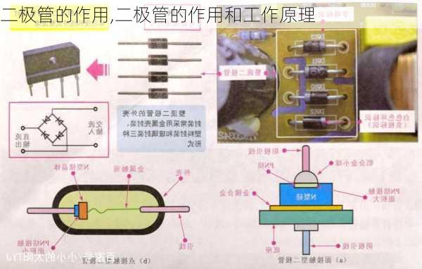 二极管的作用,二极管的作用和工作原理