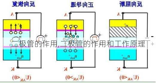 二极管的作用,二极管的作用和工作原理