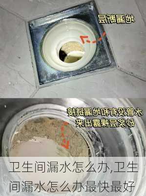 卫生间漏水怎么办,卫生间漏水怎么办最快最好