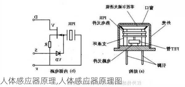 人体感应器原理,人体感应器原理图