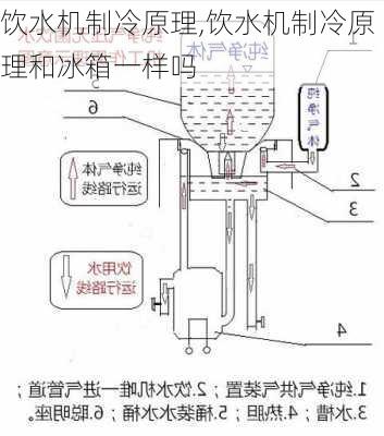 饮水机制冷原理,饮水机制冷原理和冰箱一样吗