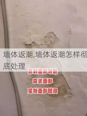 墙体返潮,墙体返潮怎样彻底处理